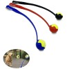 Promotional Pet Ball Launcher